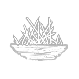 Spirit Fury perk icon